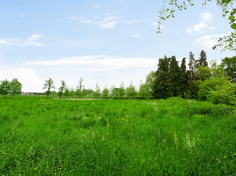 Perceel landbouwgrond van 960m², gelegen langs de Turnhoutsebaan te Dessel op de grens met Retie.&lt;br /&gt;
Onmiddellijk beschikbaar