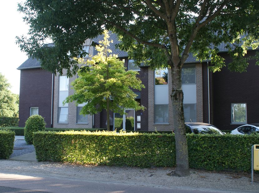 Appartement à louer
                    à 3740 Bilzen