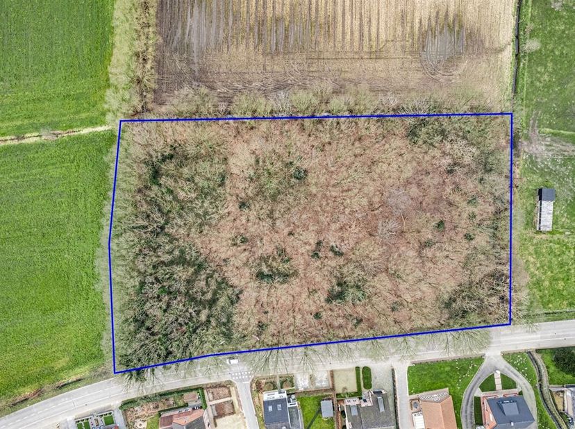 Prachtig perceel met bomen, gunstig gelegen te Zoetewei Sint-Katelijne-Waver (tegenover Draplei - Putte).&lt;br /&gt;
Dit perceel heeft een oppervlakte van