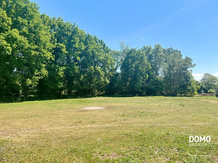 Terrain à vendre
                    à 3520 Zonhoven