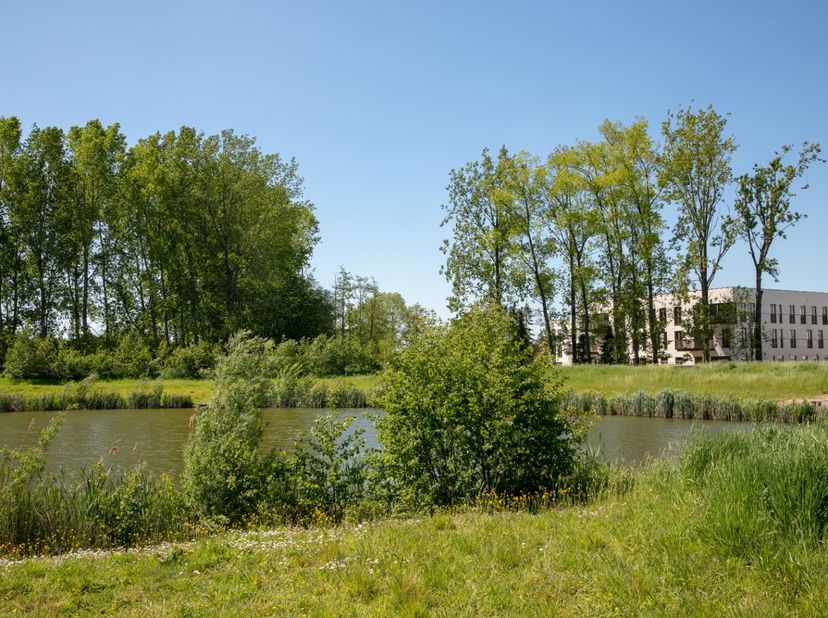 Dit nieuwbouw appartement is gelegen vlak naast het Roobeekpark te Ardooie waar u kan genieten van rust en natuur! Ook hebt u in de nabije omgeving ee