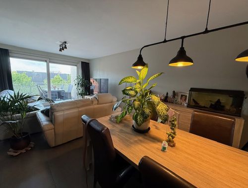                                         Appartement à louer à Mol, € 750
