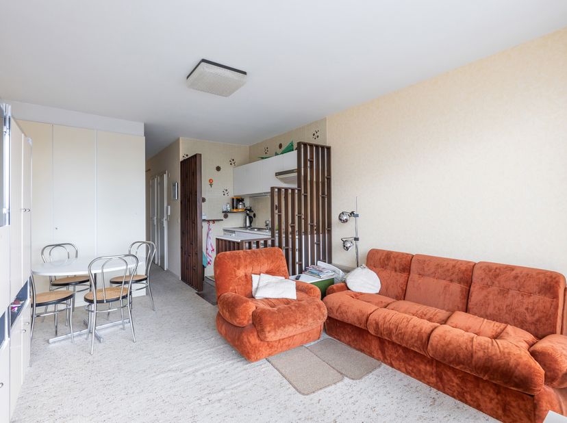 Residentie WEST-END : op de 6de verdieping aan de zonnekant van de Rauschenbergplein, gemeubelde studio met slaaphoek, bestaande uit : inkomhal met sl