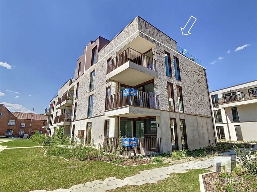 Appartement à vendre
                    à 3980 Tessenderlo