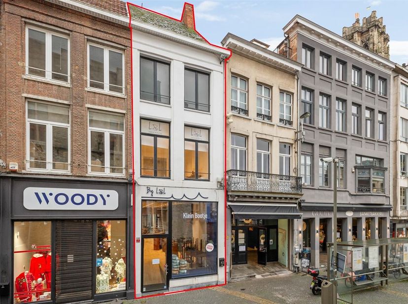 Bien professionnel à vendre
                    à 2800 Mechelen