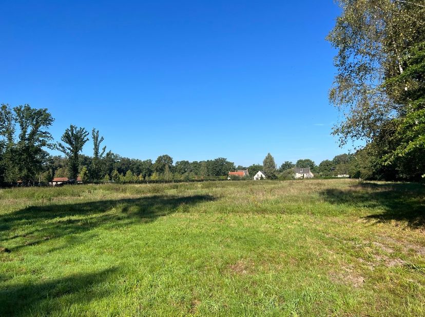 Danneels biedt dit uitzonderlijk perceel bouwgrond te koop aan in de mooie Antwerpse gemeente Schilde.&lt;br /&gt;
&lt;br /&gt;
&lt;br /&gt;
&lt;br /&gt;
Het lot is 21.954 m²