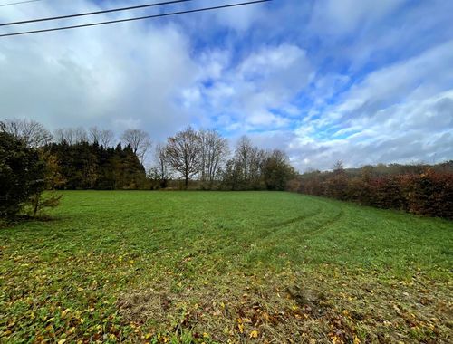                                         Terrain à bâtir à vendre à Couvin, € 45.000

