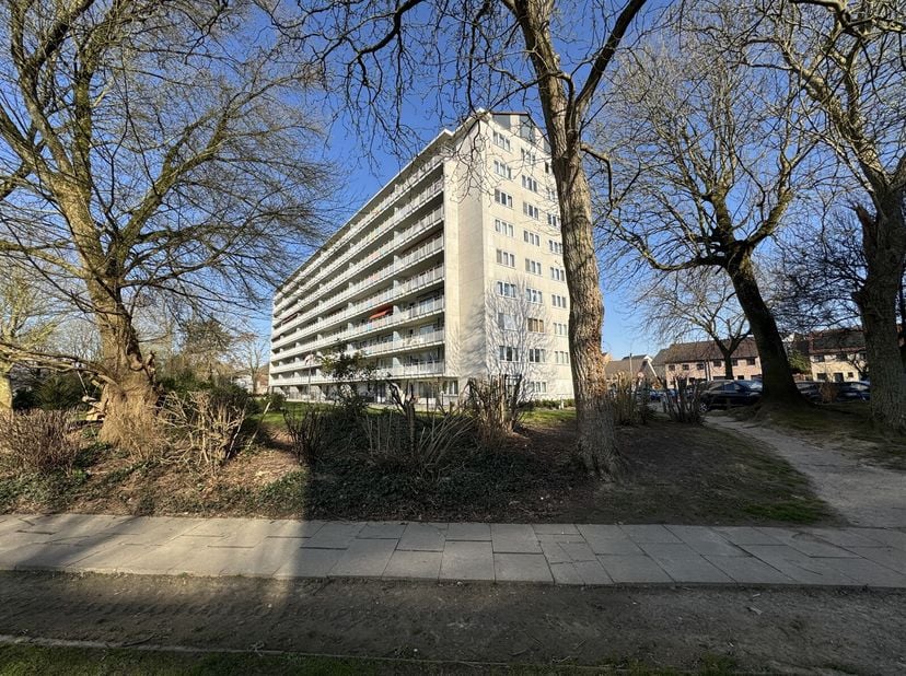 Appartement à vendre
                    à 1731 Zellik