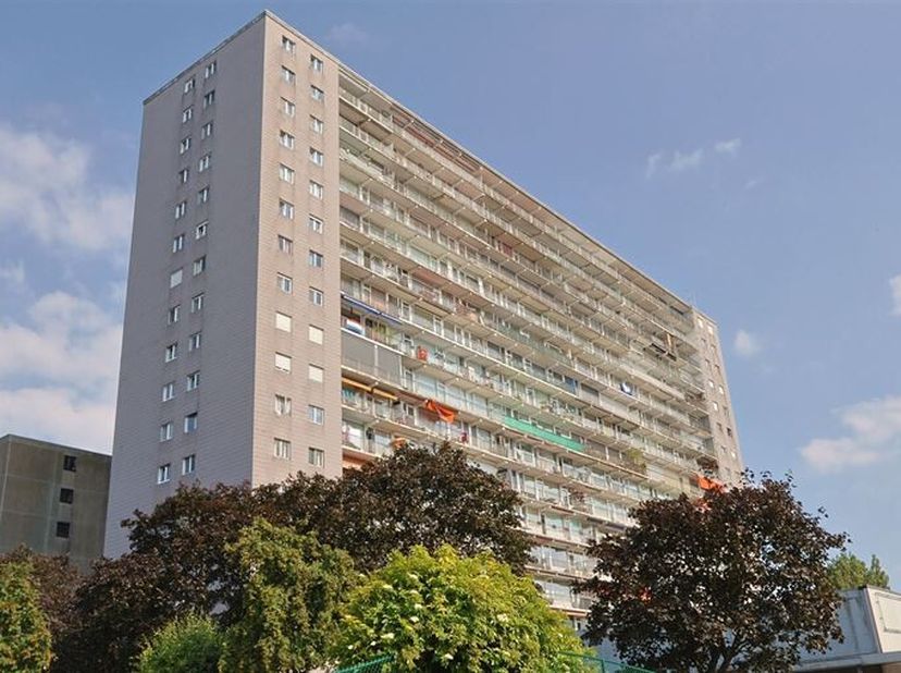 &quot;Welkom in dit gezellig gerenoveerd appartement gelegen middenin de hippe wijk Oude Dokken.&lt;br /&gt;
Het appartement is zuidwestelijk georiënteerd en bie