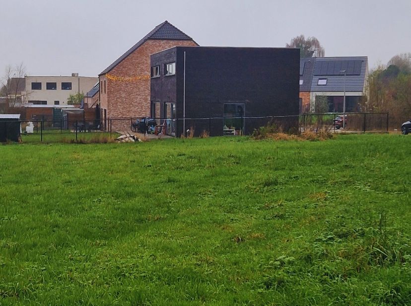 Aan de Groenlaan in het centrum van Schendelbeke ontwikkelde Danneels een nieuwe woonbuurt. &lt;br /&gt;
&lt;br /&gt;
In de nieuwe Burgemeester van Liefferingestr