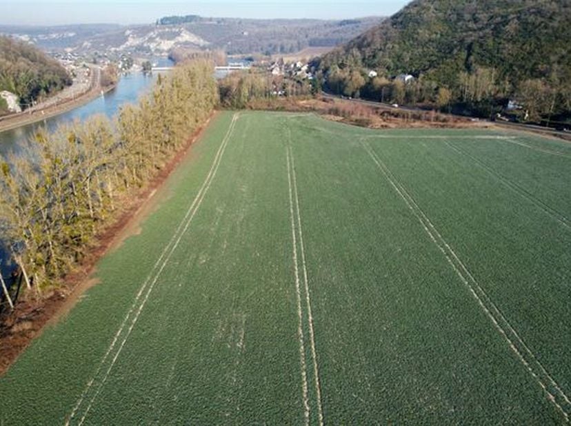 Très beau terrain situé en bord de Meuse d&#039;une contenance de + de 5 ha 33 a présentant un très beau potentiel.&lt;br /&gt;
Il présente 2 parties en zone d&#039;h