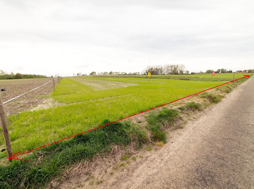 Terrain à vendre
                    à 3803 Runkelen