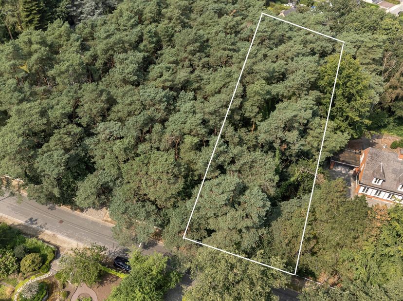 Terrain à vendre
                    à 2580 Putte
