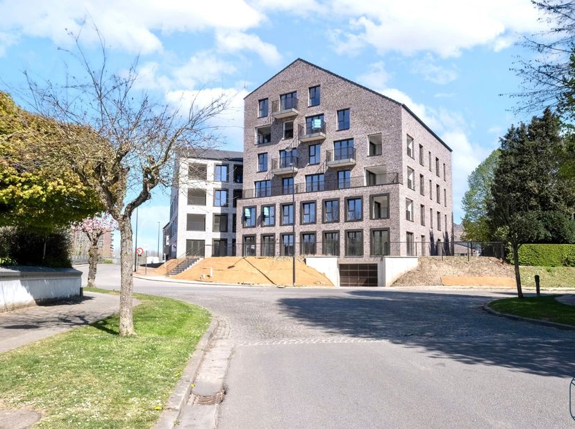 Appartement à vendre
                    à 9600 Renaix