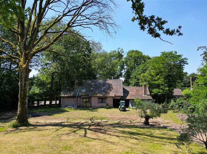 Maison à vendre
                    à 3580 Beringen