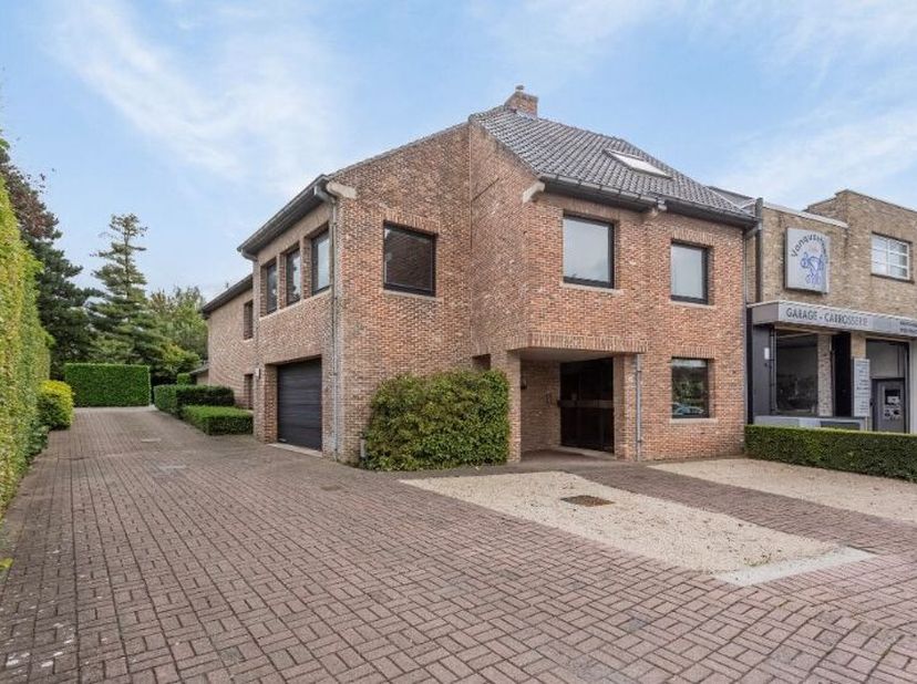 Bien professionnel à vendre
                    à 9870 Zulte
