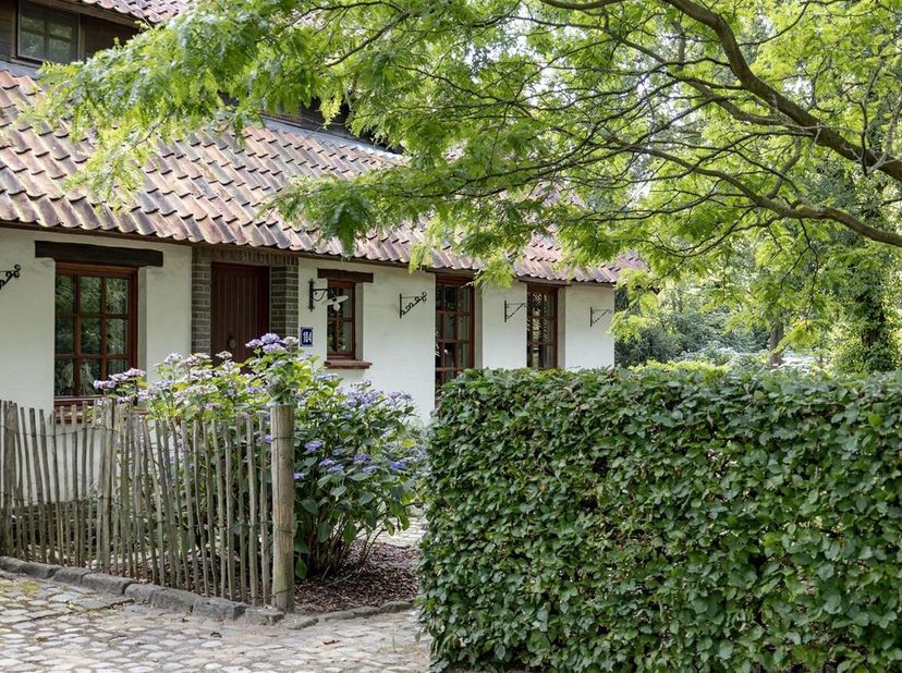 Maison à vendre
                    à 3900 Overpelt
