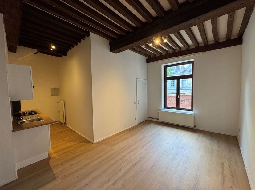 Superbe appartement une chambre, récemment rénové, sis en plein coeur de Mons. &lt;br /&gt;
Situation idéale : à 2 pas de la gare et de la Grand-Place de Mo