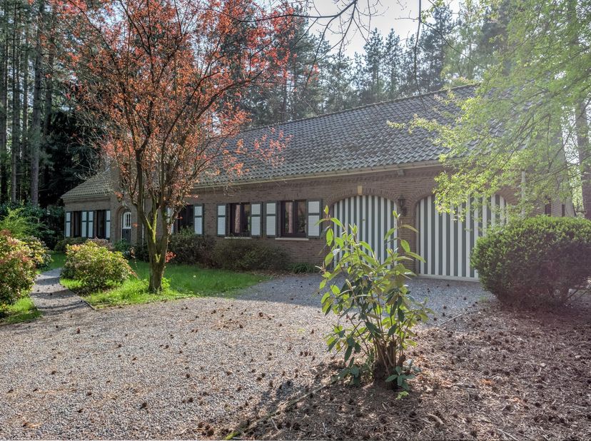 Maison à vendre
                    à 2920 Kalmthout