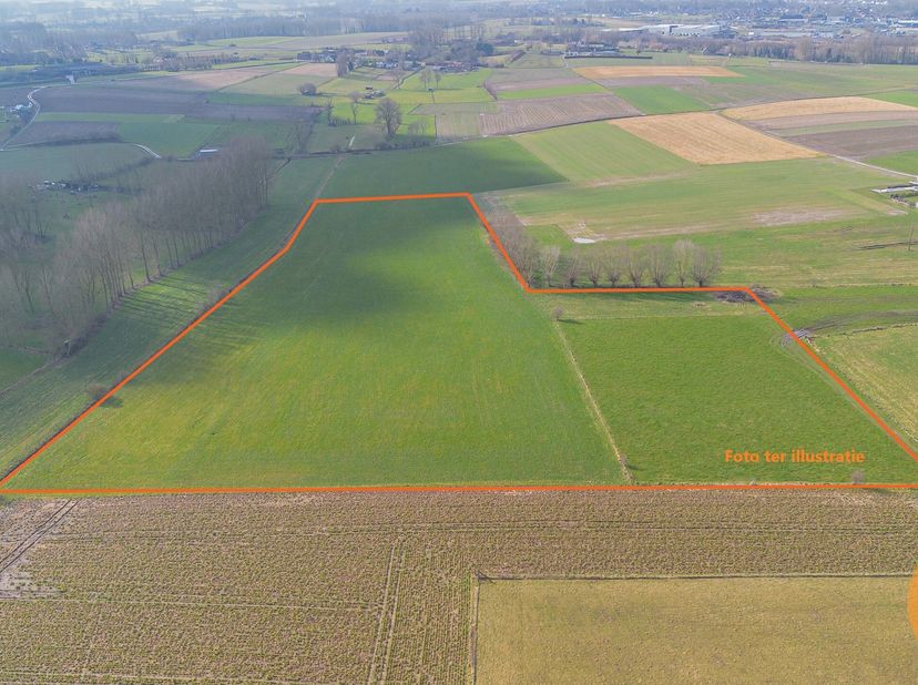 HILLEGEM  Landbouwgrond te koop&lt;br /&gt;
Op zoek naar ruime landbouwgrond in Hillegem ? Wij bieden een prachtige oppervlakte van maar liefst 4 hectare 32