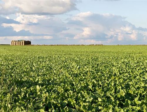                                         Terrain agricole à vendre à Limelette, € 1.595.260
