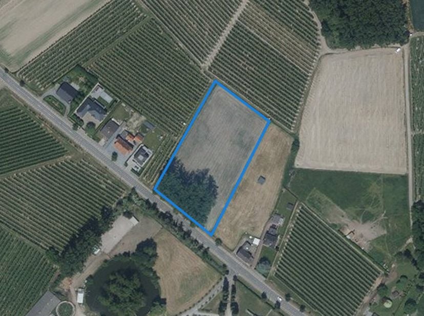 WEILAND -  &lt;br /&gt;
 &lt;br /&gt;
Verpachte grond palende aan de Nachtegaal te Sint-Truiden (Zepperen) met een oppervlakte van 77a23ca.  &lt;br /&gt;
Gelegen in agr