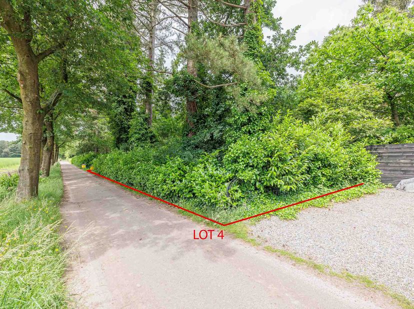 Terrain à vendre
                    à 2382 Poppel