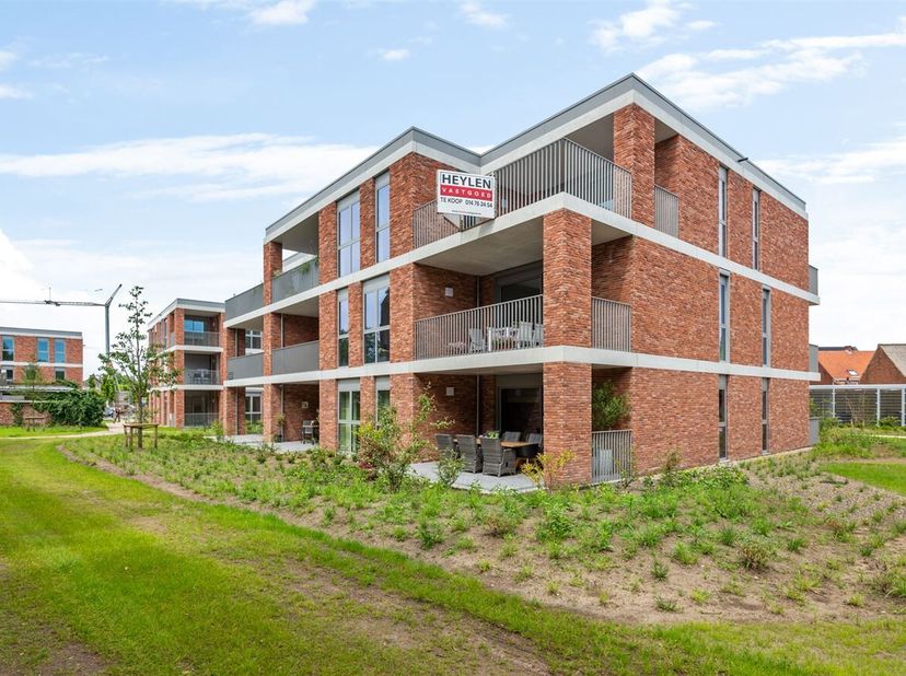 Appartement à vendre
                    à 2490 Balen