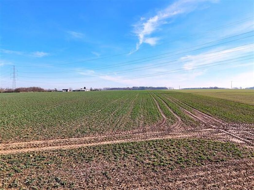 Très belle terre de culture d&#039;une contenance de 20 ha 65 a 50 ca formant un beau bloc.&lt;br /&gt;
Elle est située à route. Relief plat.&lt;br /&gt;
Libre d&#039;occup