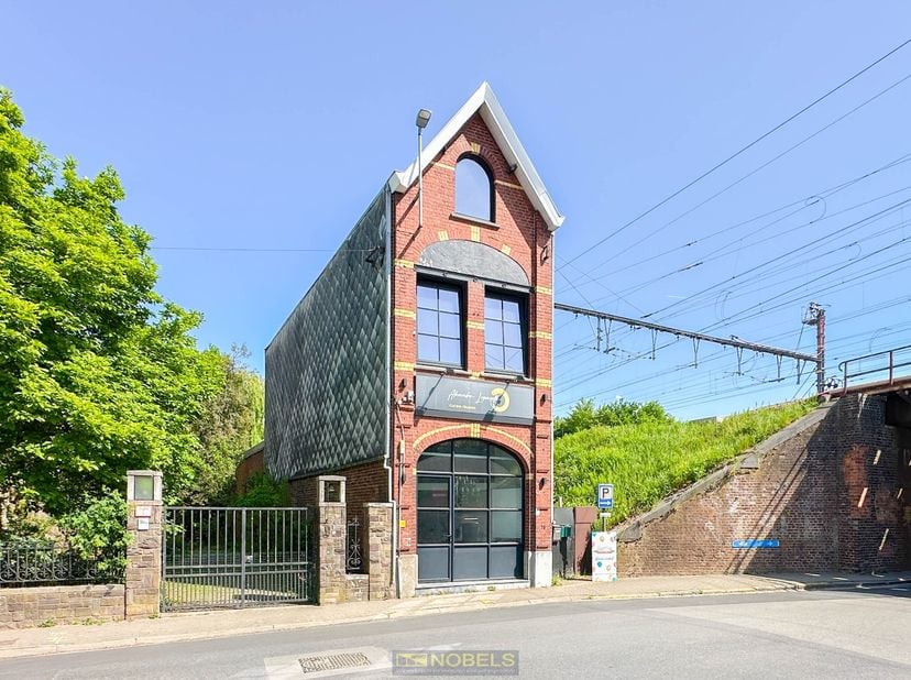 Bien professionnel à vendre
                    à 9620 Zottegem