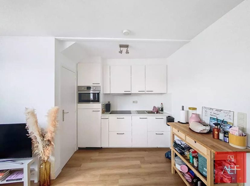 Kortenberg&lt;br /&gt;
Plus d&#039;informations : verhuur@aefimmo.be&lt;br /&gt;
Ce bel appartement rénové d&#039;une surface habitable de 60 m² (selon l&#039;EPC) est situé au
