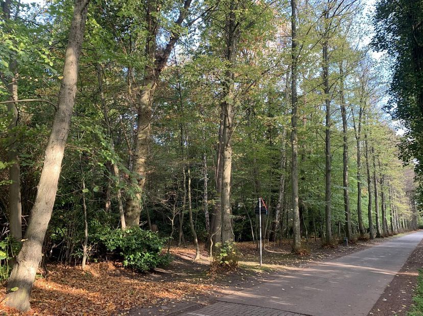 Terrain à vendre
                    à 2950 Kapellen