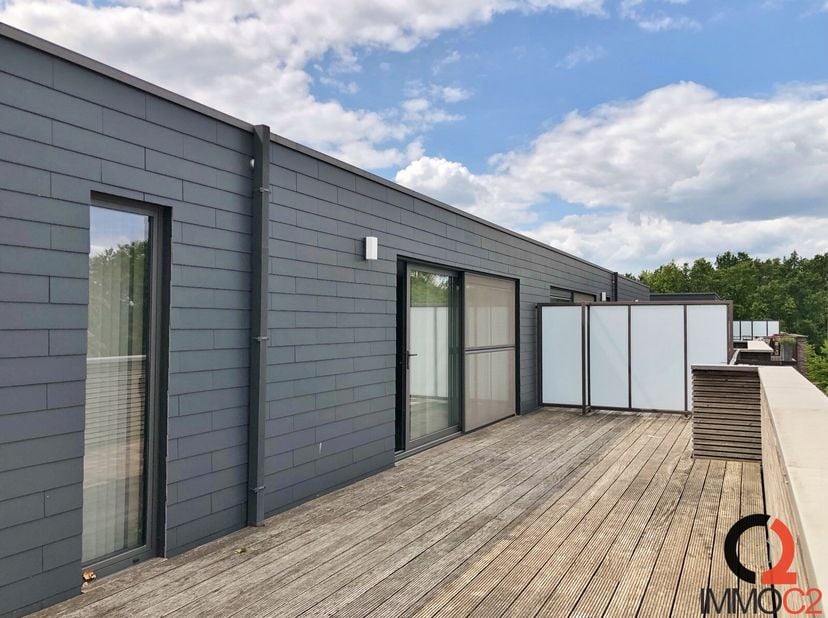 Appartement à louer
                    à 3980 Tessenderlo