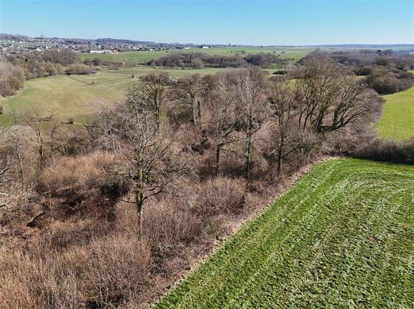 OPTION 2 ensembles boisés pouvant être achetés séparément.&lt;br /&gt;
Lot 1: 68 a 10 ca&lt;br /&gt;
Bois situé en bordure de plaine. Il est composé d&#039;un recru fe