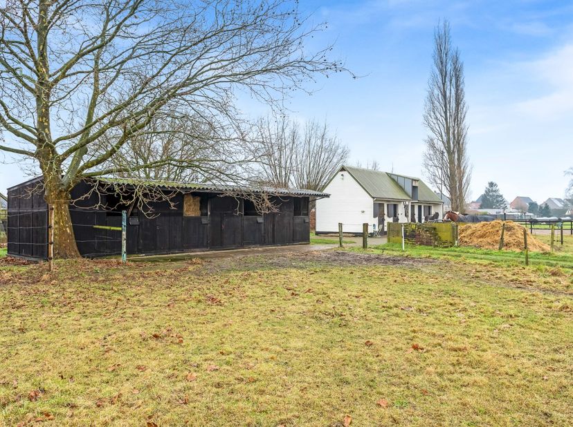 Dit mooie perceel in agrarisch gebied heeft een totale oppervlakte van maar liefst 4570m² en is gelegen op een bijzonder rustige locatie in Hoevenen.