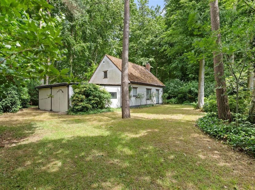 Leuke vakantiewoning op 802m²&lt;br /&gt;
Deze recreatiewoning is goed bereikbaar en heel rustig gelegen in een klein wegeltje (zijstraatje Riet) en omringd