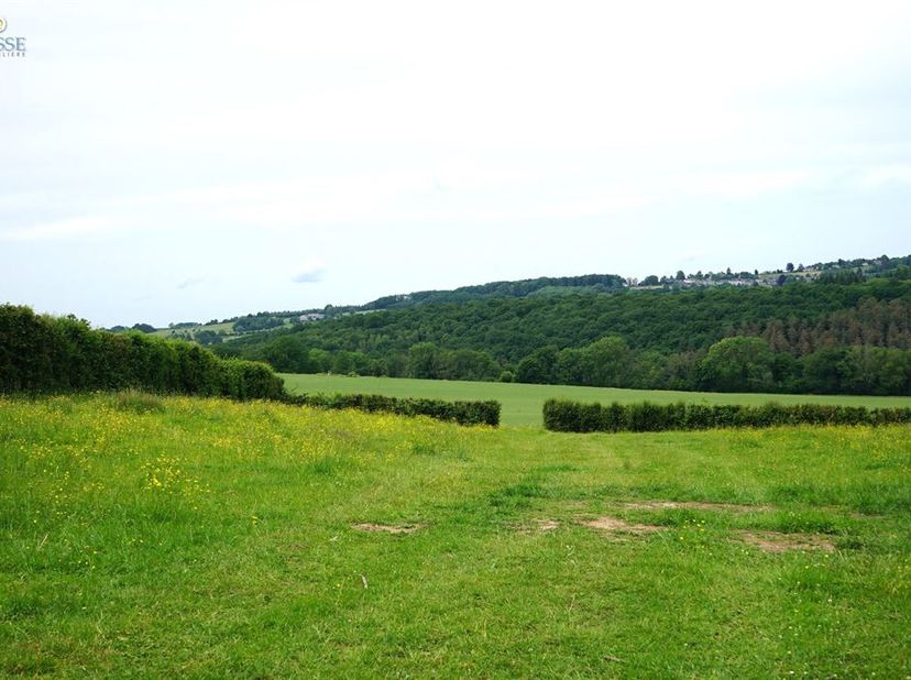 Terrain à vendre à Ferrières, à proximité de Durbuy  Nous vous proposons un magnifique terrain dune superficie totale de 7 823 m², idéalement situé à