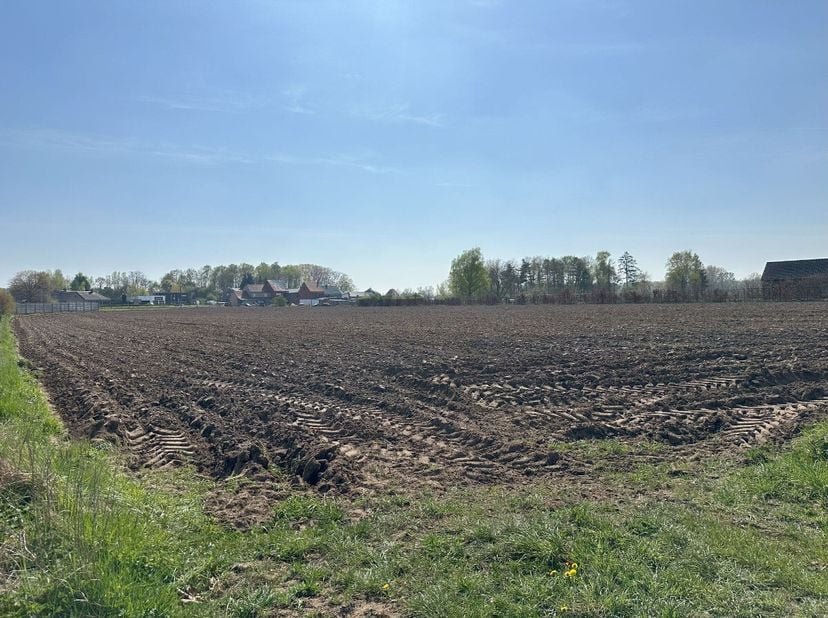 Terrain à vendre
                    à 2230 Herselt
