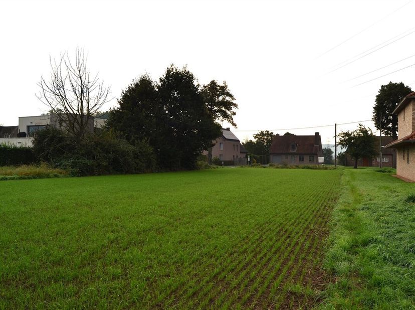 Terrain à vendre
                    à 8580 Avelgem