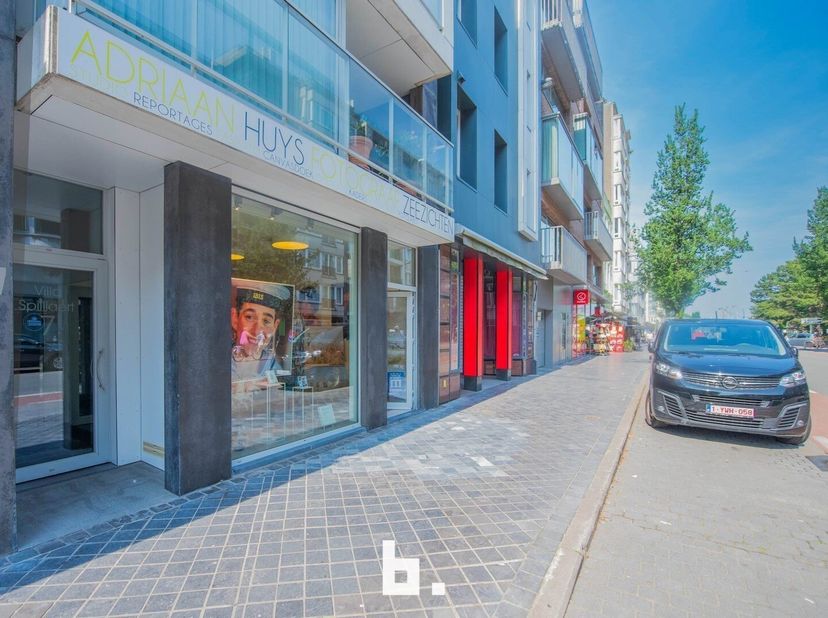 Bien professionnel à vendre
                    à 8400 Oostende
