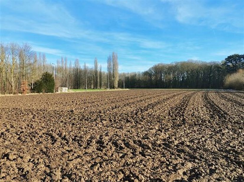 Terrain d&#039;une contenance de 1 ha 20 a 14 ca situé en zone d&#039;habitat à caractère rural pour une contenance approximative de 54 a 00 ca. et pour le sold