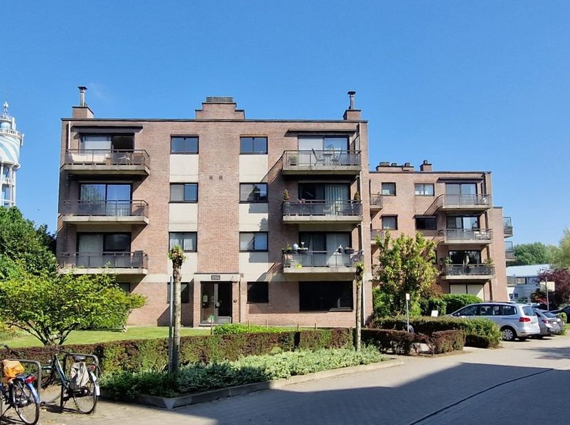 Dit volledig gerenoveerd appartement is gelegen in een rustige woonbuurt, op wandelafstand van het centrum van Hasselt en heeft drie slaapkamers, groo