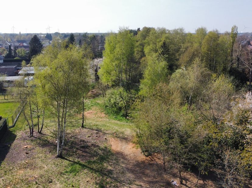 Terrain à vendre
                    à 3920 Lommel