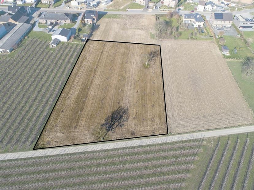 Terrain à vendre
                    à 3720 Kortessem