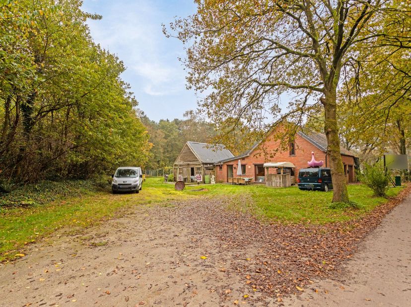 Deze twee te renoveren woningen zijn gelegen op een ruim perceel in een rustige groene omgeving in Mol-Sluis. De woningen liggen langs de gekende Galb