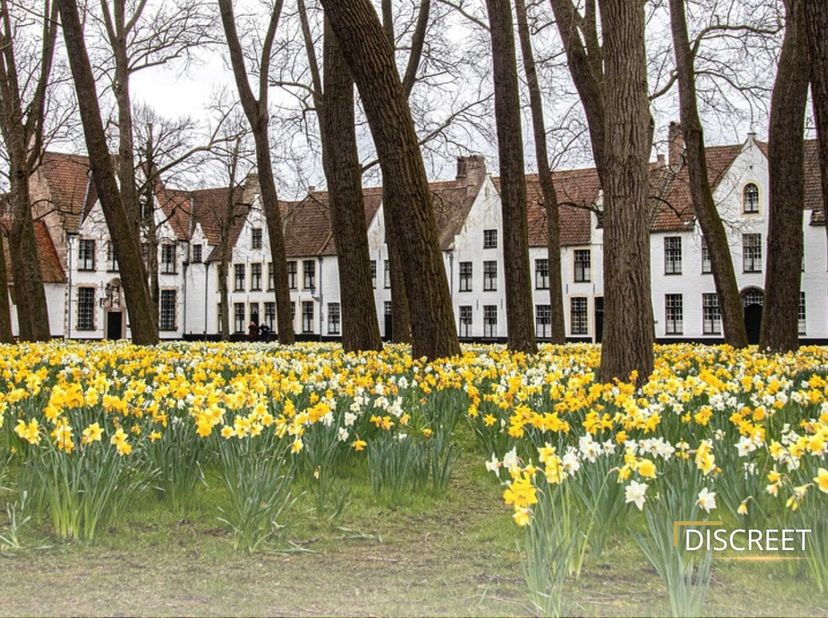 In &quot; Hartje &quot; Brugge , nog te ontwikkelen renovatieproject TE KOOP!. Gelegen vlakbij de&quot; Rozenhoedkaai,&quot; de ultieme toeristische trekpleister van deze