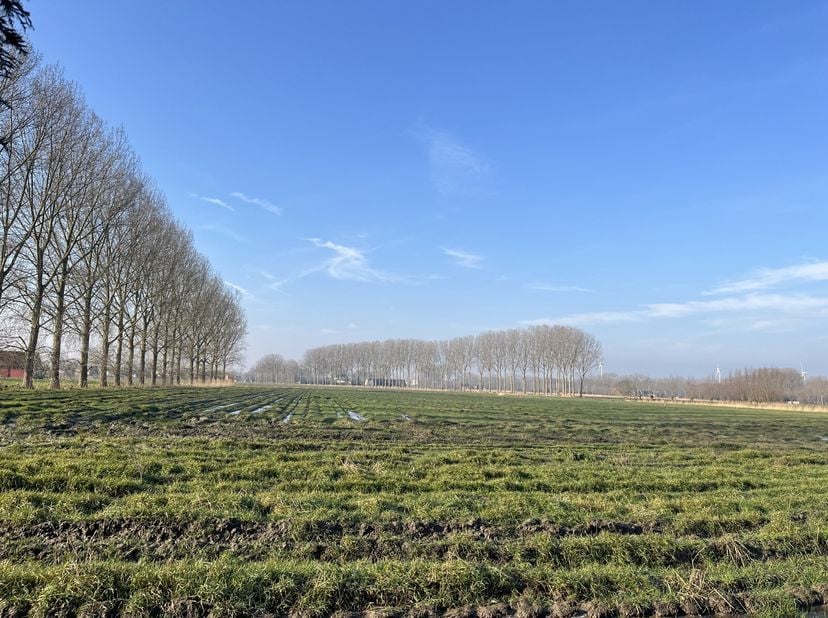 Terrain à vendre
                    à 8000 Brugge