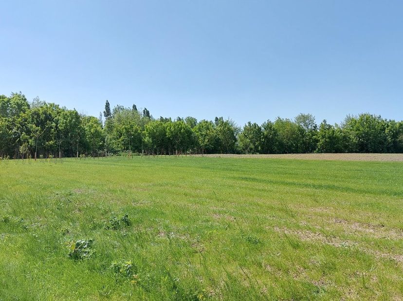 Perceel bouwgrond van 694 m² met ruime bouwvoorschriften gelegen in het gegeerde Marke.&lt;br /&gt;
Dit perceel is geschikt voor een nieuw te bouwen open be