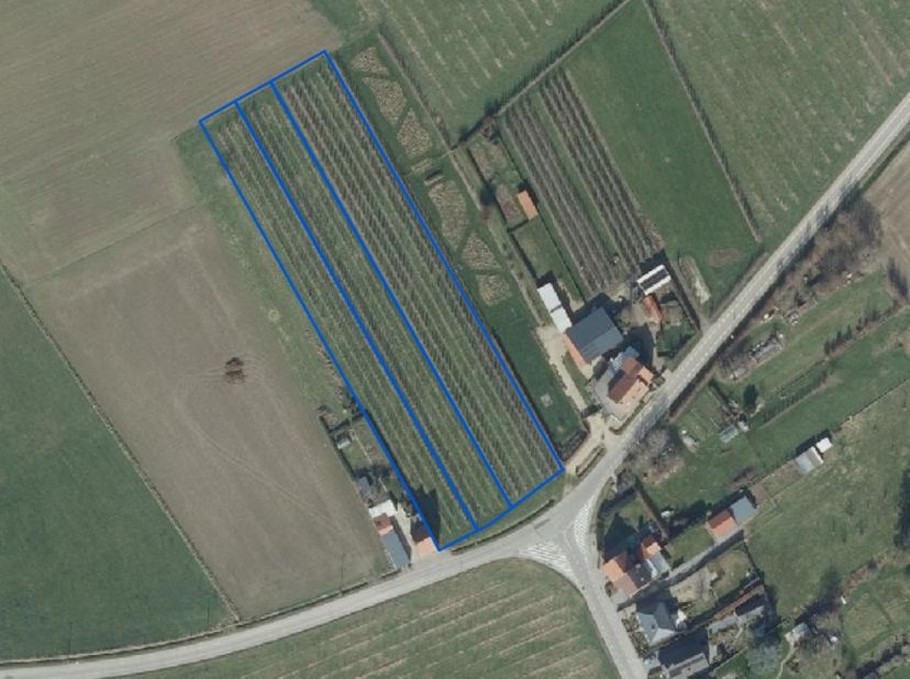 Terrain à vendre
                    à 3380 Bunsbeek