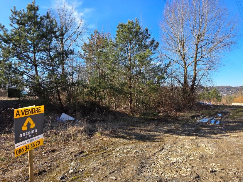 Barvaux (Durbuy) : Parcelle à bâtir de 981 m² offrant une jolie vue, lot 49 d&#039;un lotissement calme et bénéficiant d’une excellente situation à quelque